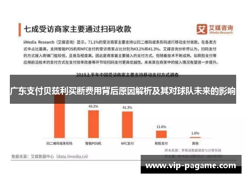 广东支付贝兹利买断费用背后原因解析及其对球队未来的影响