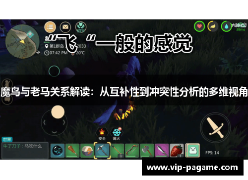魔鸟与老马关系解读:从互补性到冲突性分析的多维视角