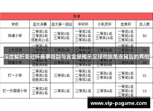 深度解析美冠杯赛事级别与含金量揭示足球劲旅角逐背后的真相